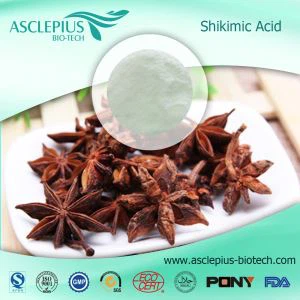 Anijsextractpoeder Leverancier Groothandel / het actieve ingrediënt is shikiminezuur, etherische olie van anijs